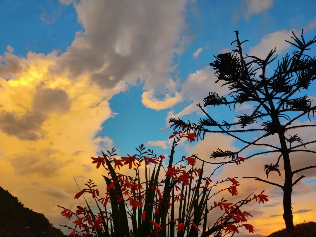 Photo of Chandak Hill By Nikita Bisht