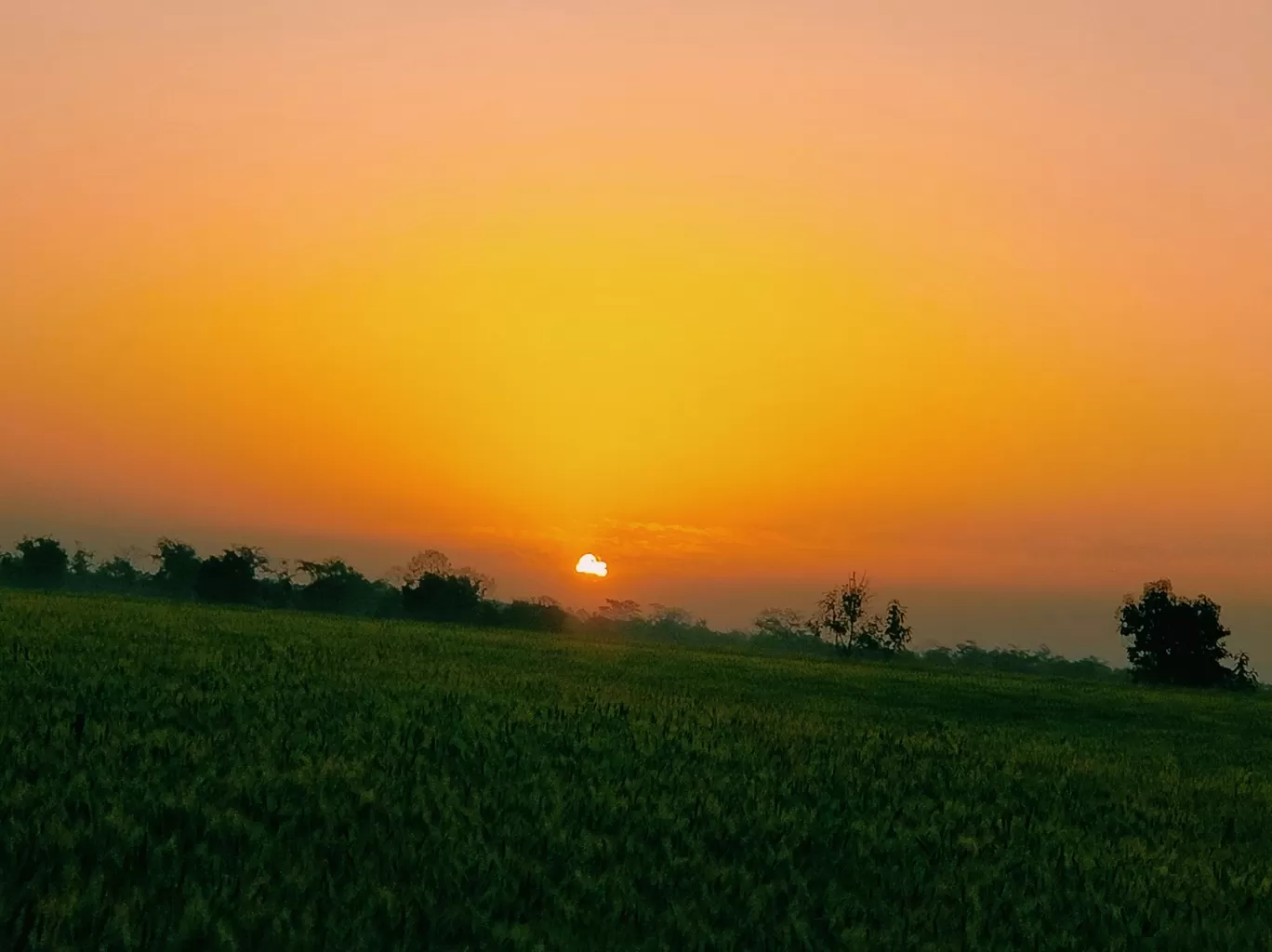 Photo of Pachmarhi Biosphere Reserve By Kaushik Reddy