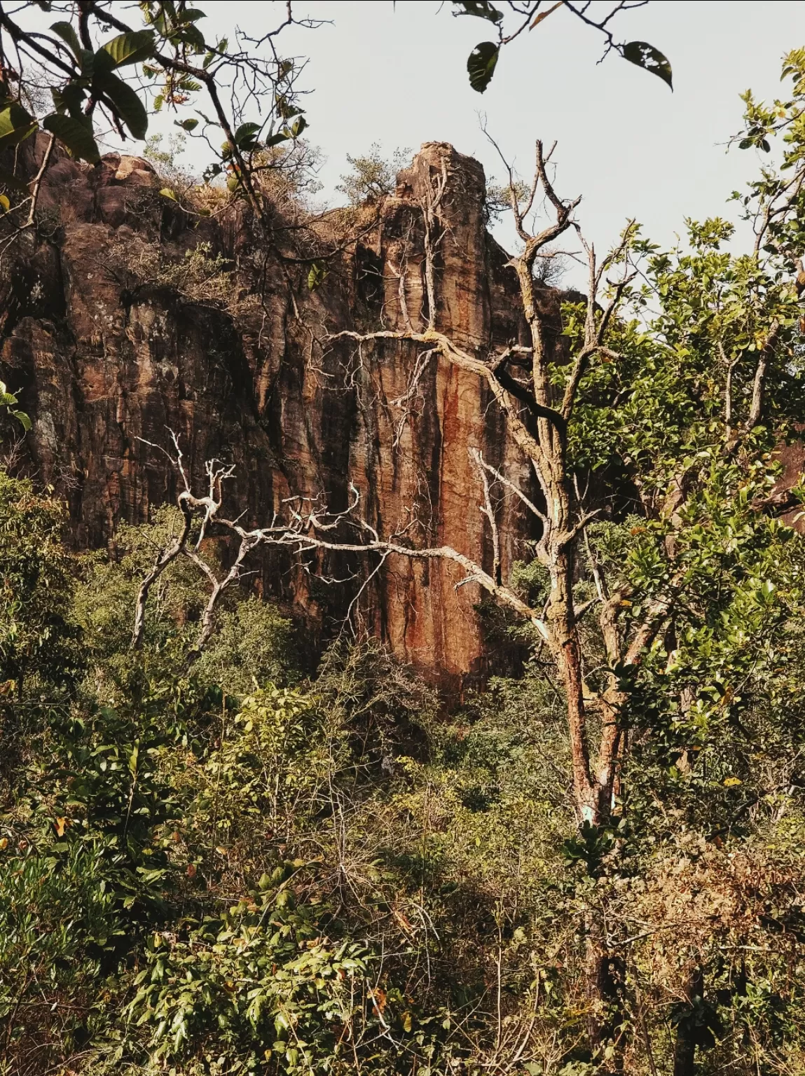 Photo of Pachmarhi Biosphere Reserve By Kaushik Reddy