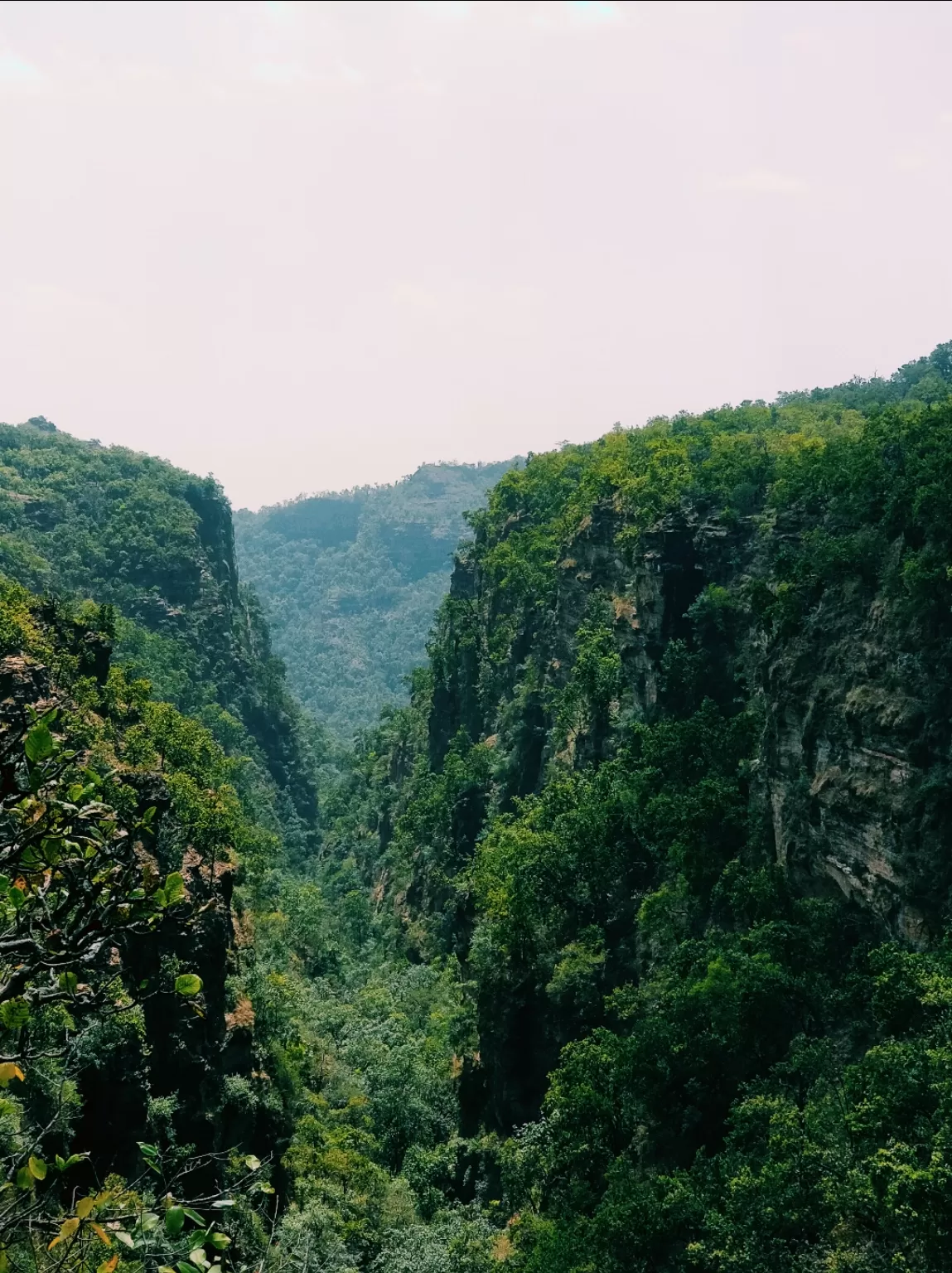 Photo of Pachmarhi Biosphere Reserve By Kaushik Reddy