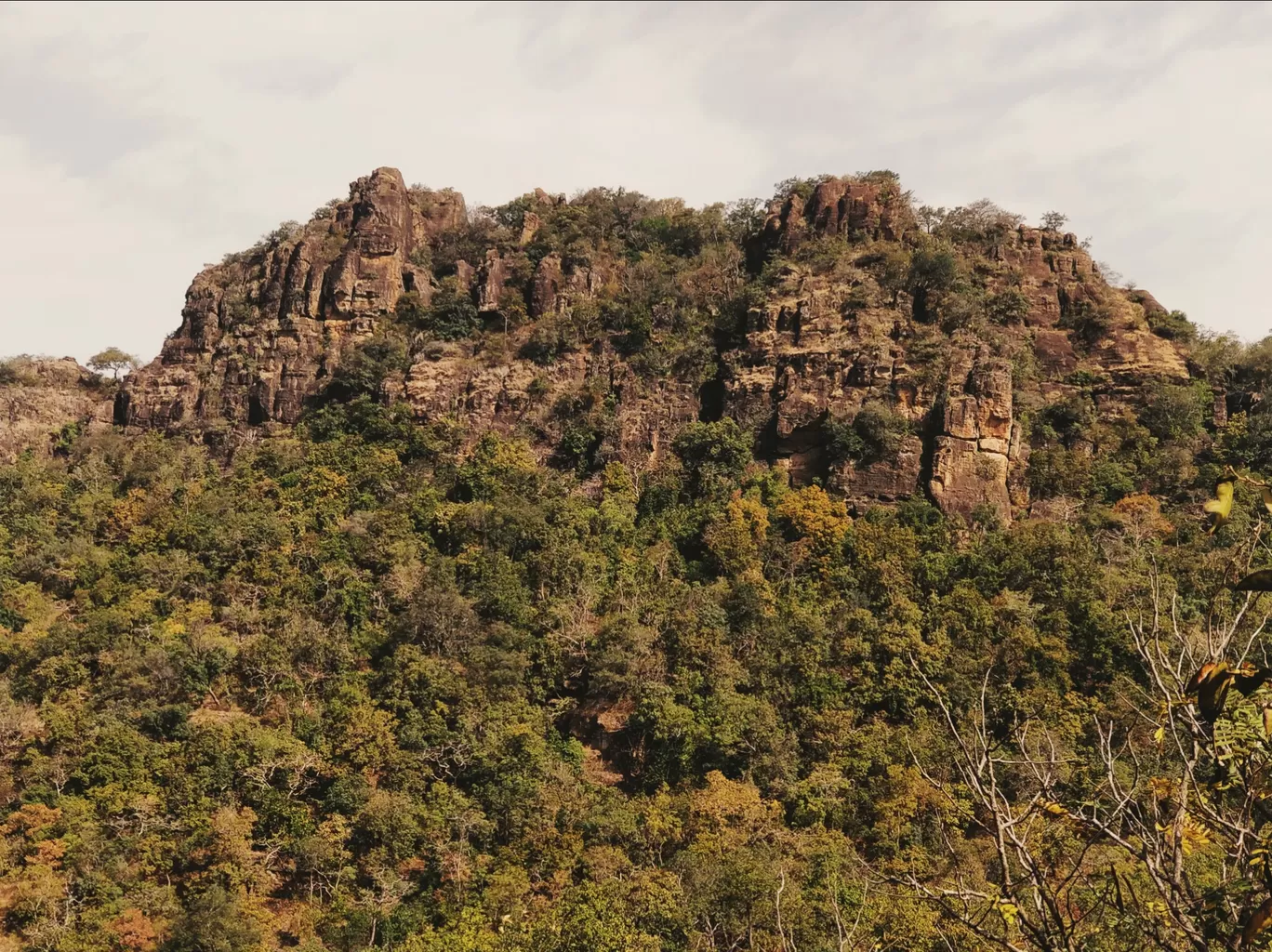 Photo of Pachmarhi Biosphere Reserve By Kaushik Reddy