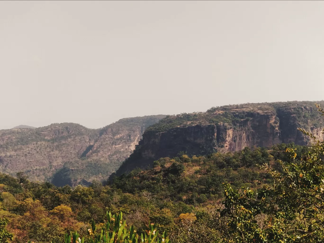 Photo of Pachmarhi Biosphere Reserve By Kaushik Reddy