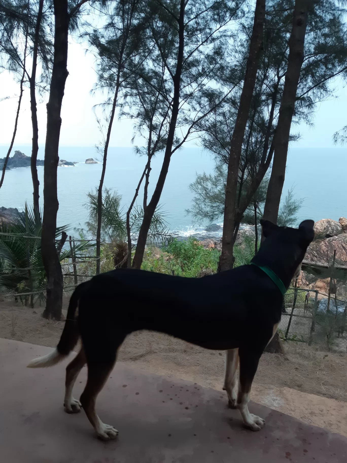 Photo of Om Beach View Point (ಓಂ ಕಡಲತೀರ) By Sonakshi Kar