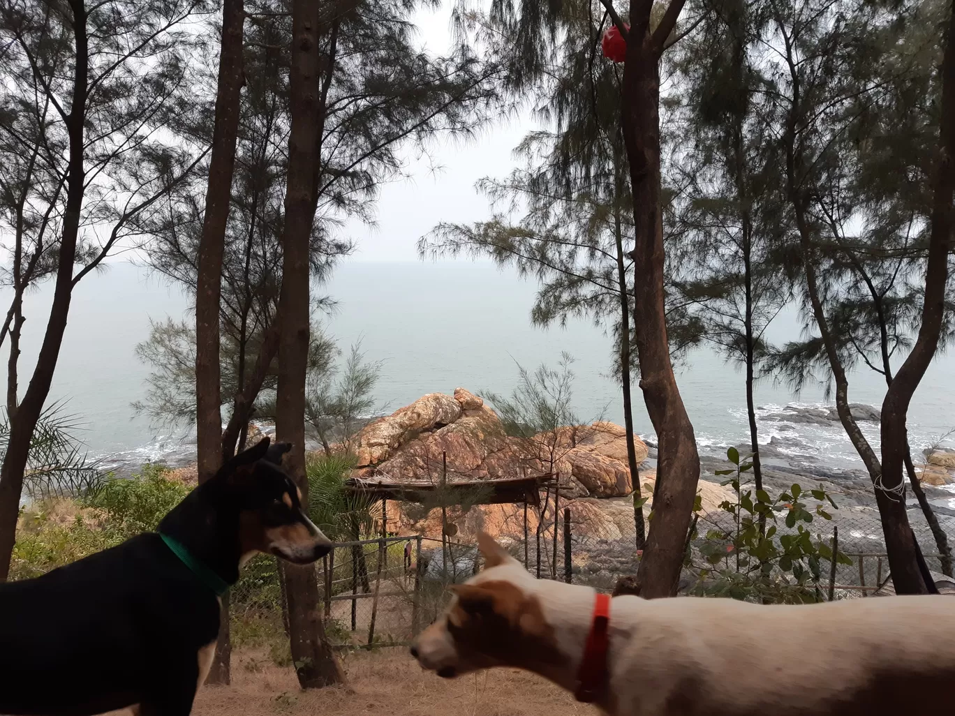 Photo of Om Beach View Point (ಓಂ ಕಡಲತೀರ) By Sonakshi Kar