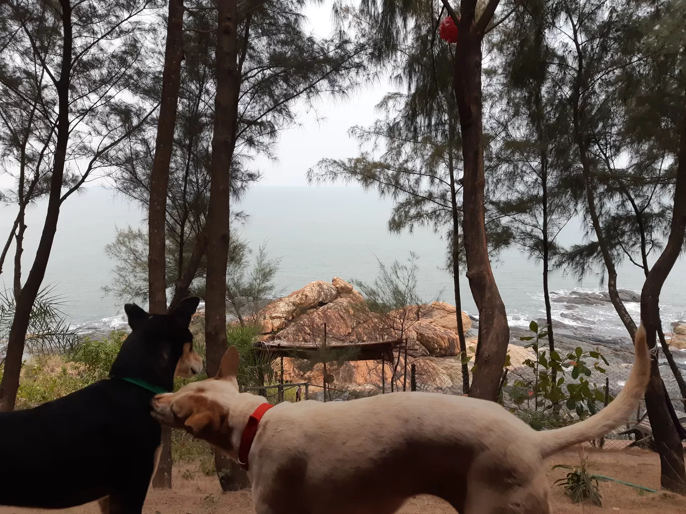 Photo of Om Beach View Point (ಓಂ ಕಡಲತೀರ) By Sonakshi Kar