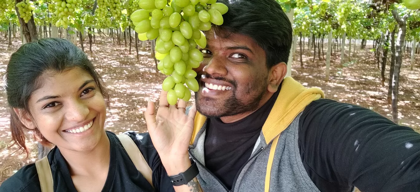 Photo of Vineyards By Durga Lakshmipathy