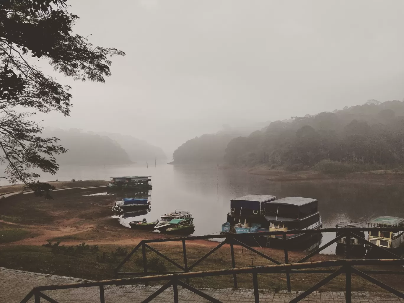 Photo of Periyar National Park By Anwesha Guha