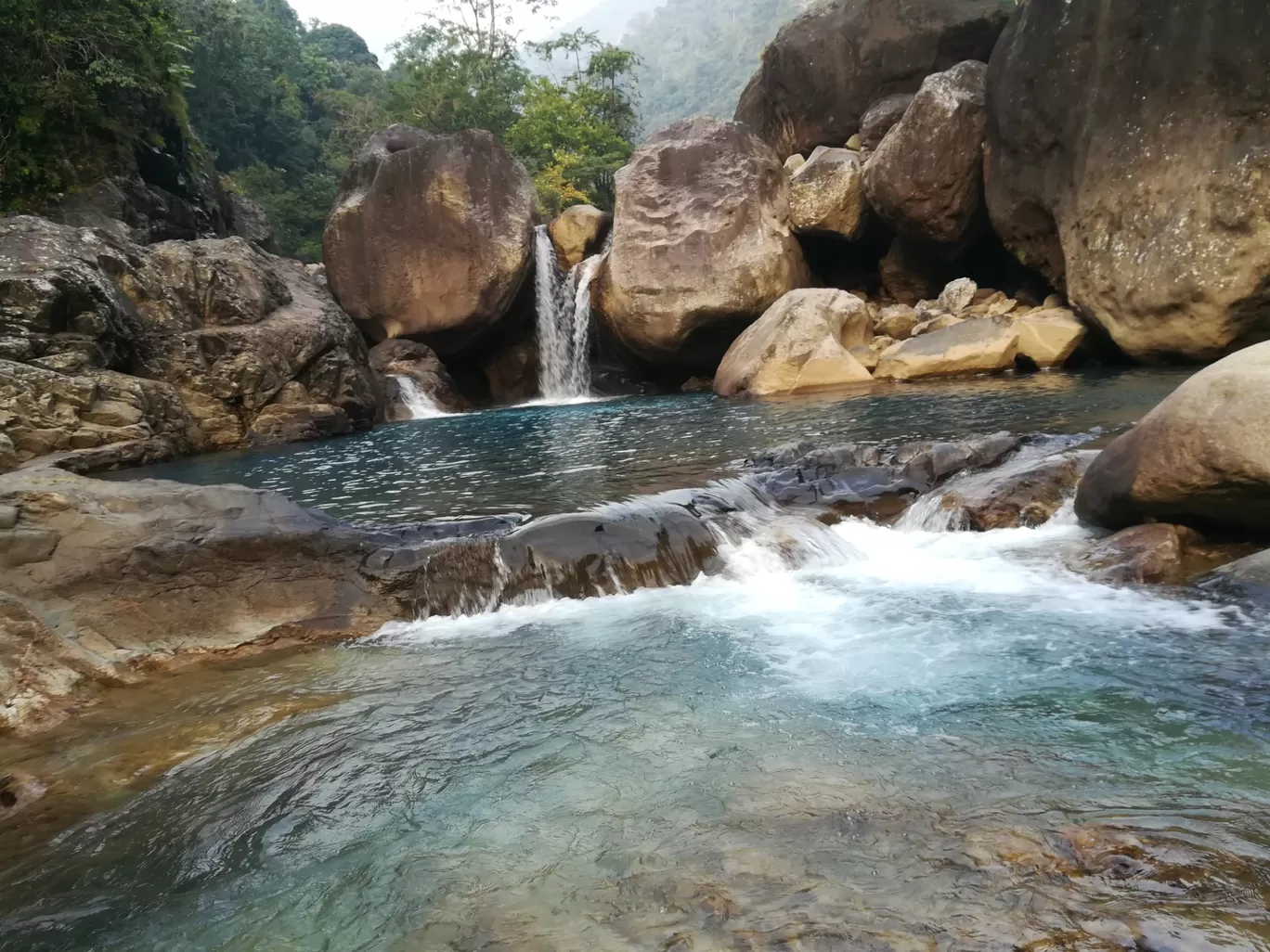 Photo of Living Root Bridge By Anand Madanagiri