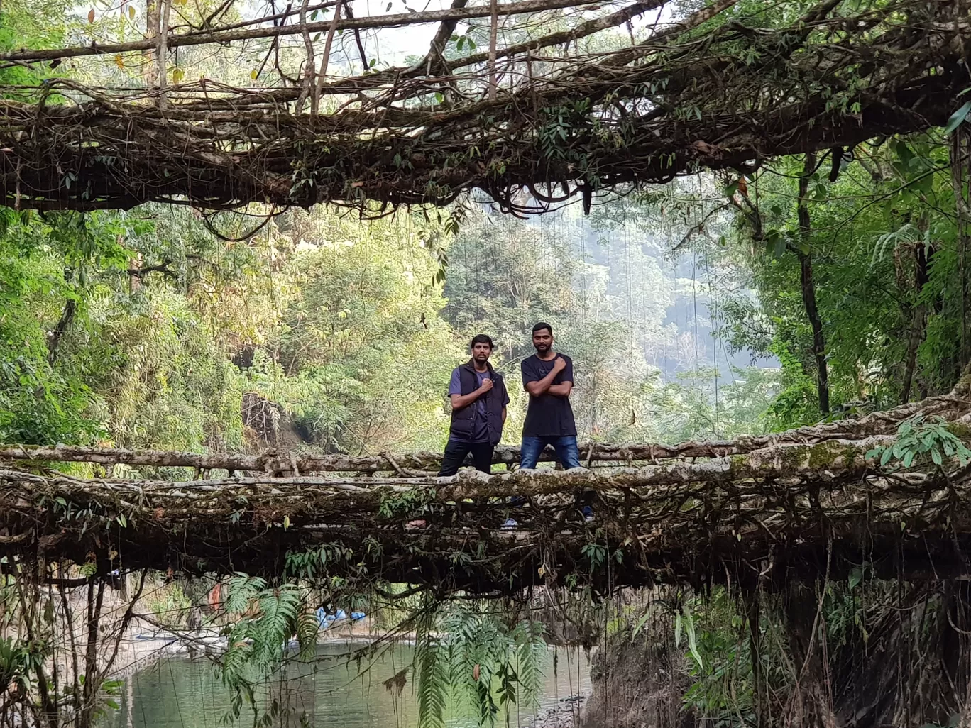 Photo of Living Root Bridge By Anand Madanagiri