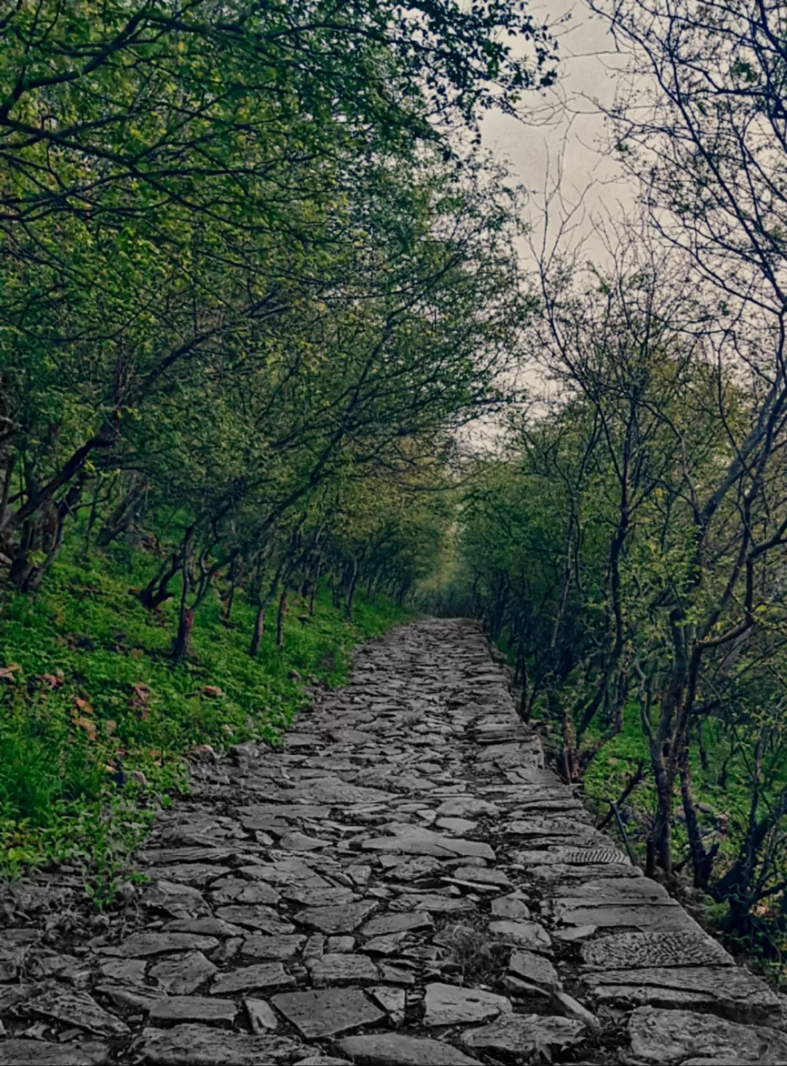 Photo of Alwar By devanshu gupta