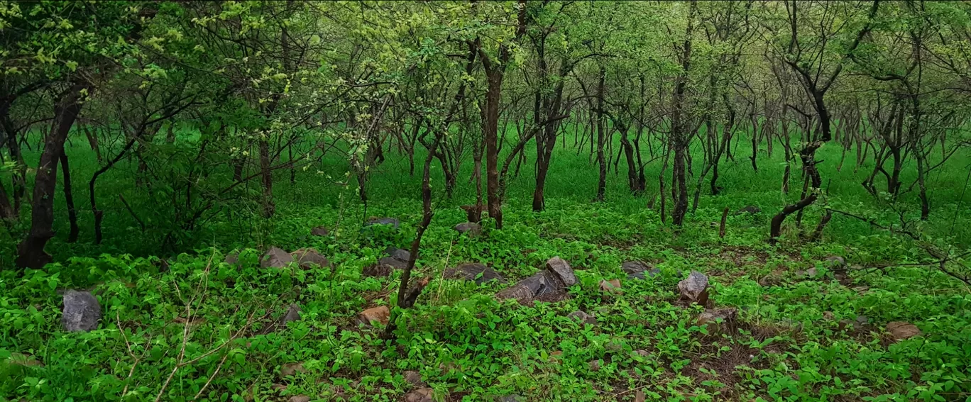 Photo of Alwar By devanshu gupta