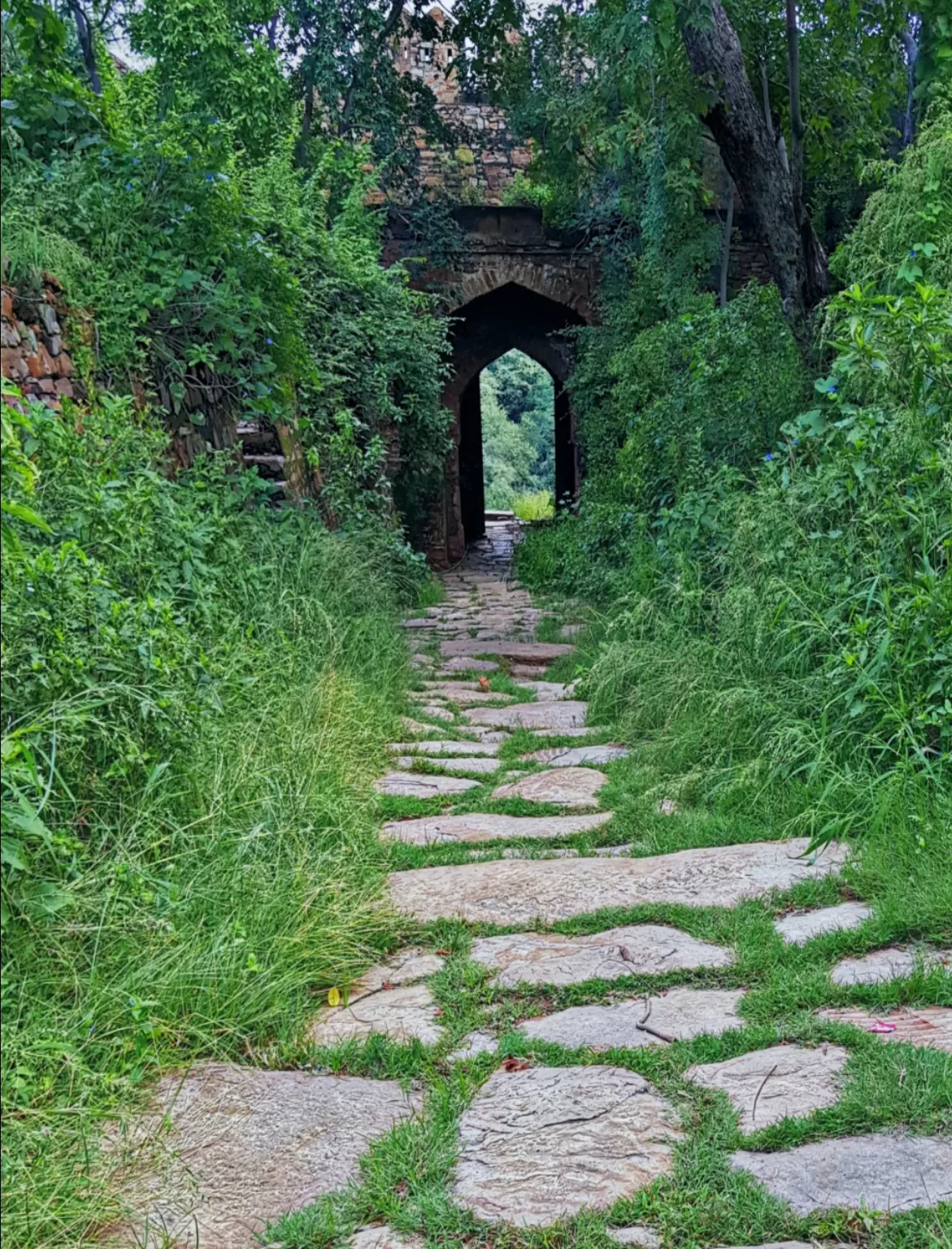 Photo of Alwar By devanshu gupta