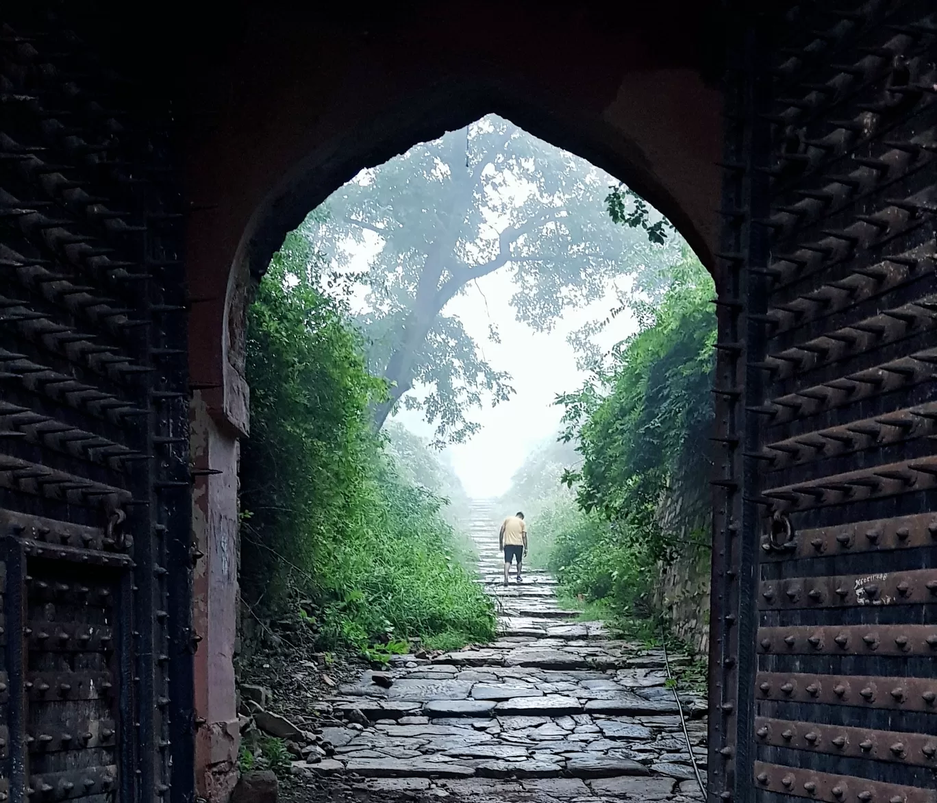 Photo of Alwar By devanshu gupta