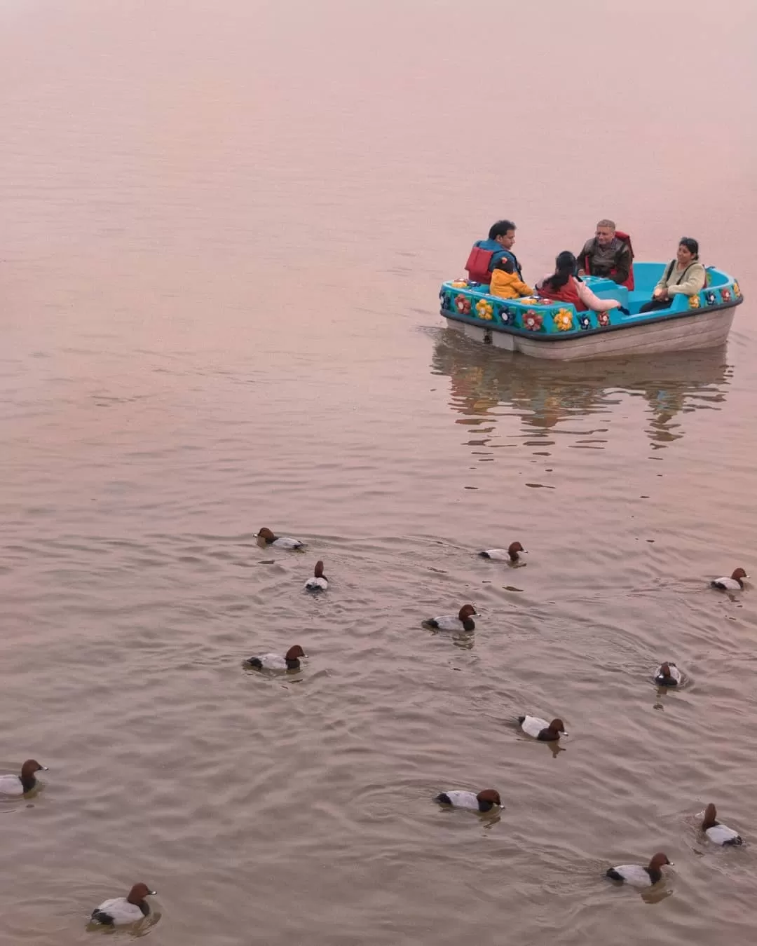 Photo of Sukhna Lake By sachin chauhan