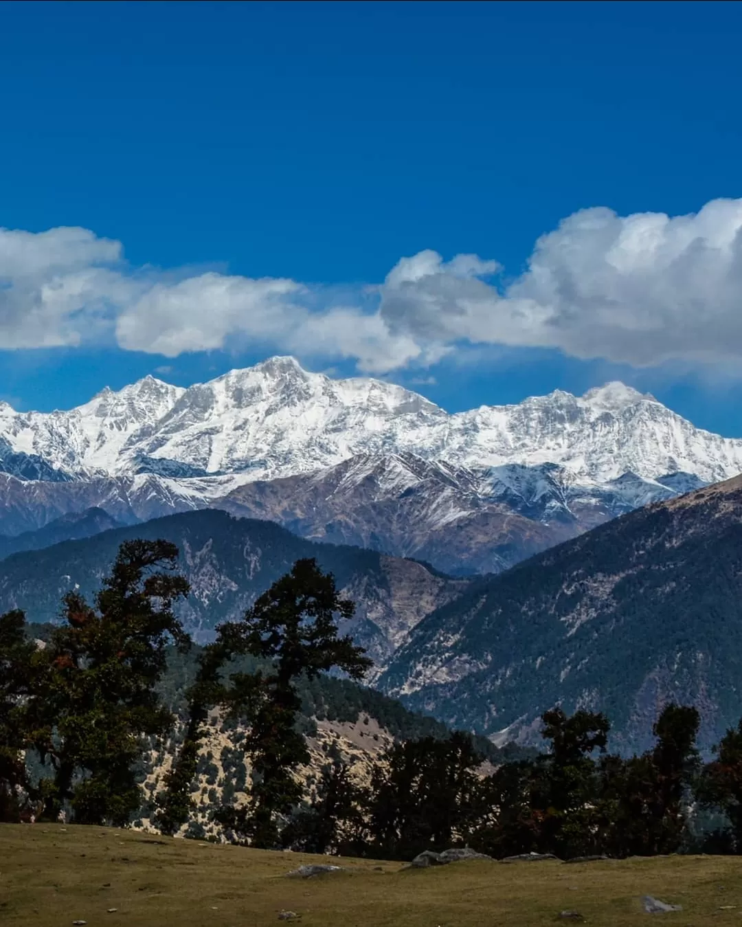 Photo of Chopta By sachin chauhan