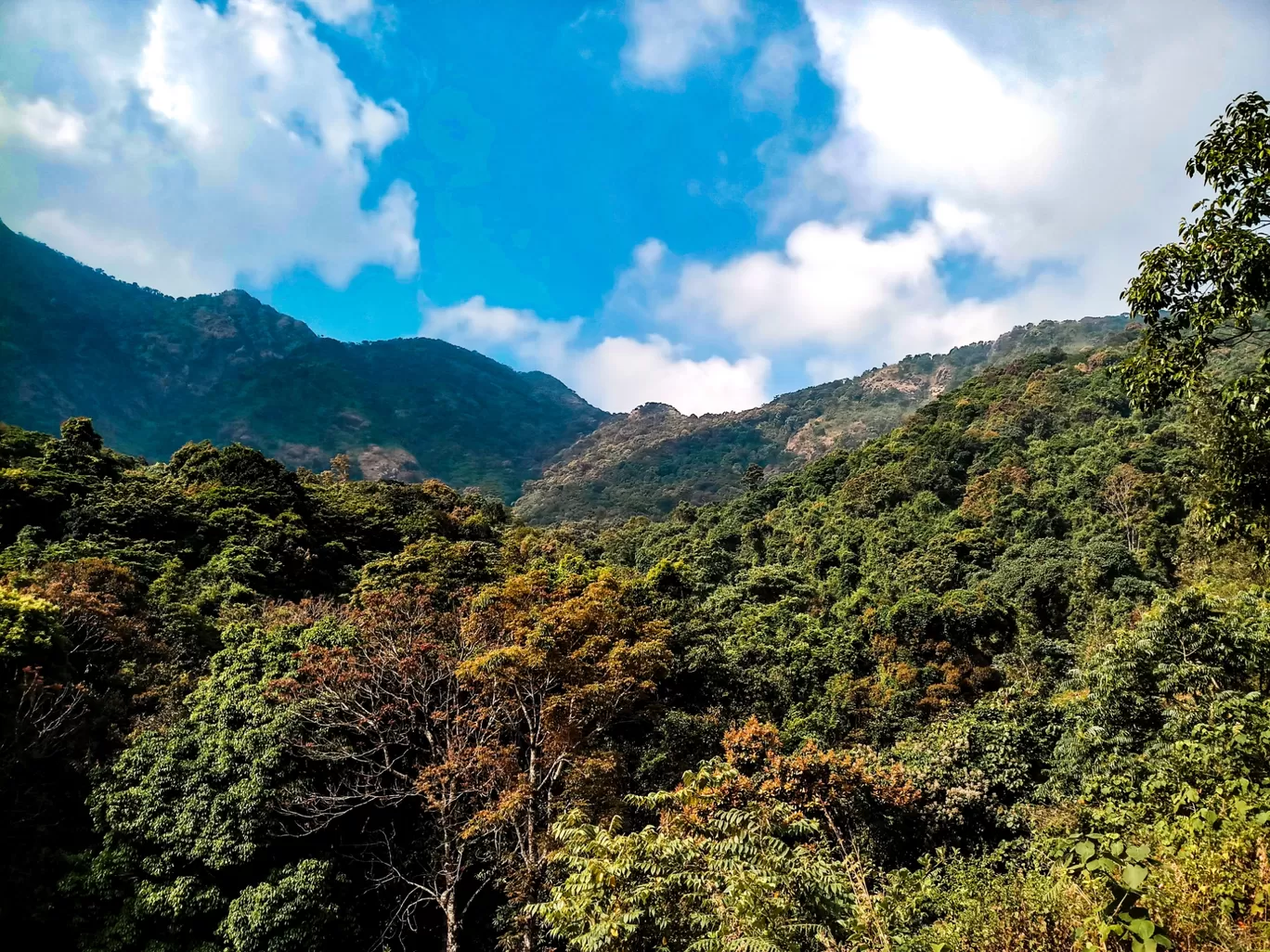 Photo of Banasura Hill By Lijo George