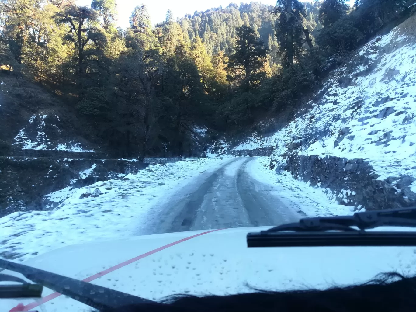 Photo of Chopta By Pankaj Prasad