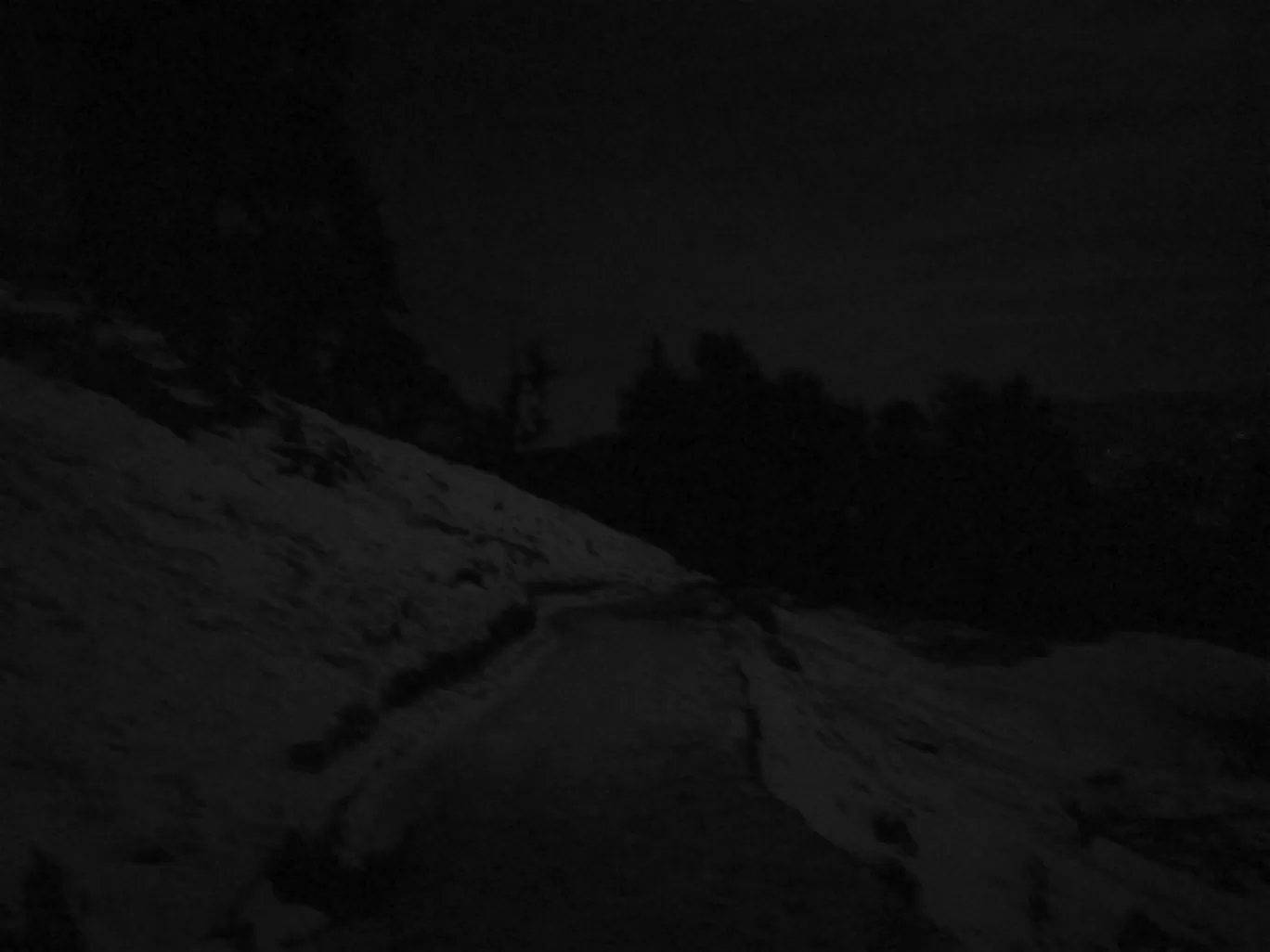 Photo of Chopta By Pankaj Prasad