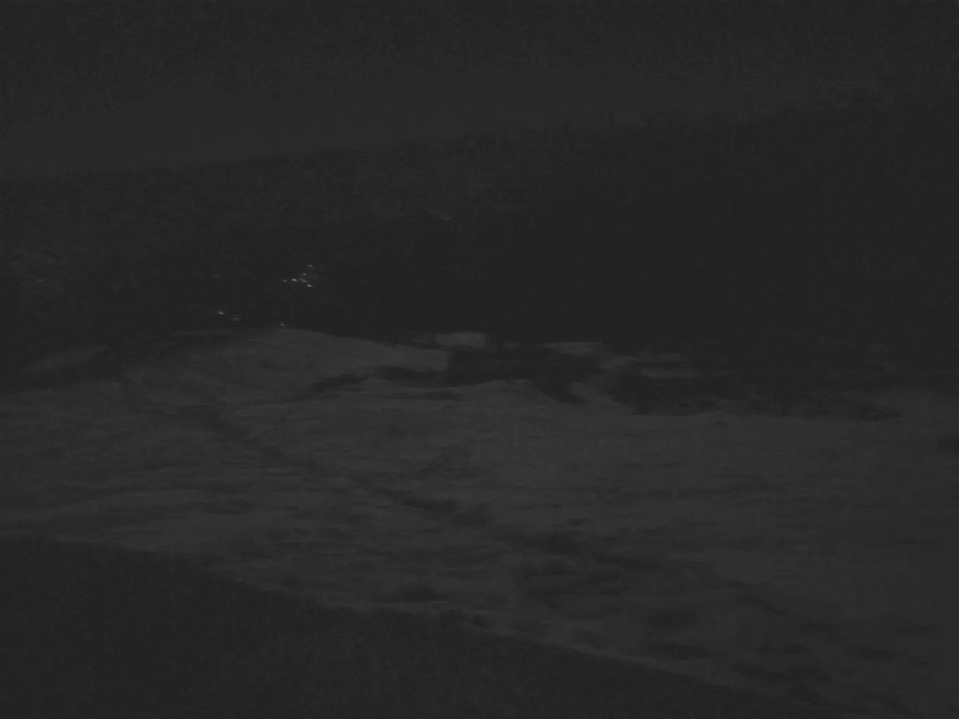 Photo of Chopta By Pankaj Prasad