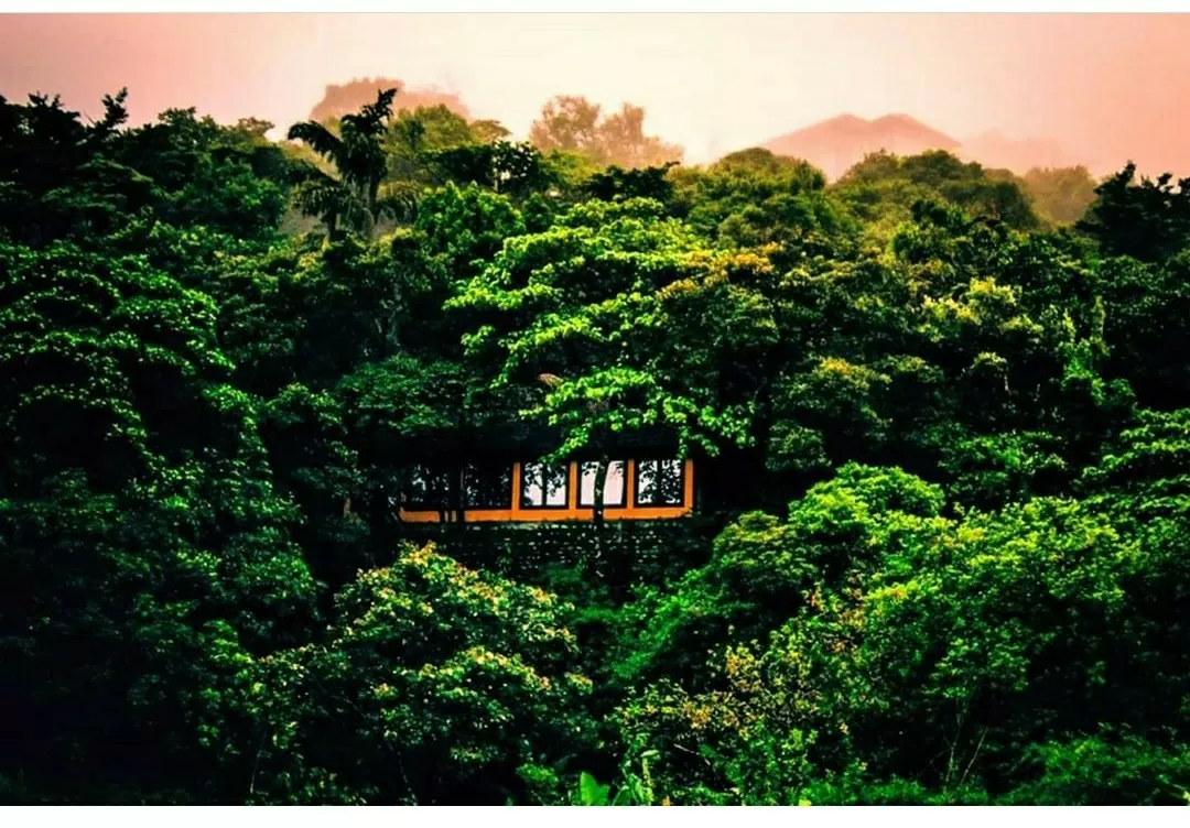 Photo of Taj Madikeri Resort & Spa By Divya Ranjan