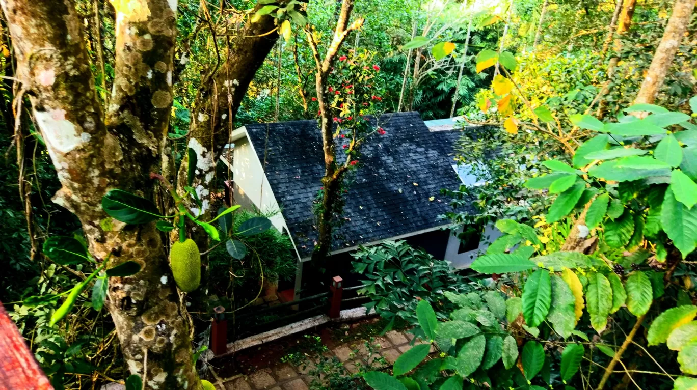Photo of Wayanad By Phototherapeutic