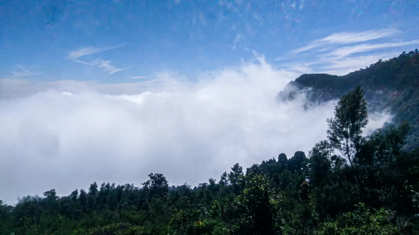 Photo of Kodaikanal By Phototherapeutic