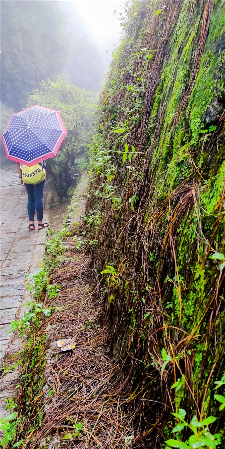 Photo of Icche Gaon By Chandrima Gain