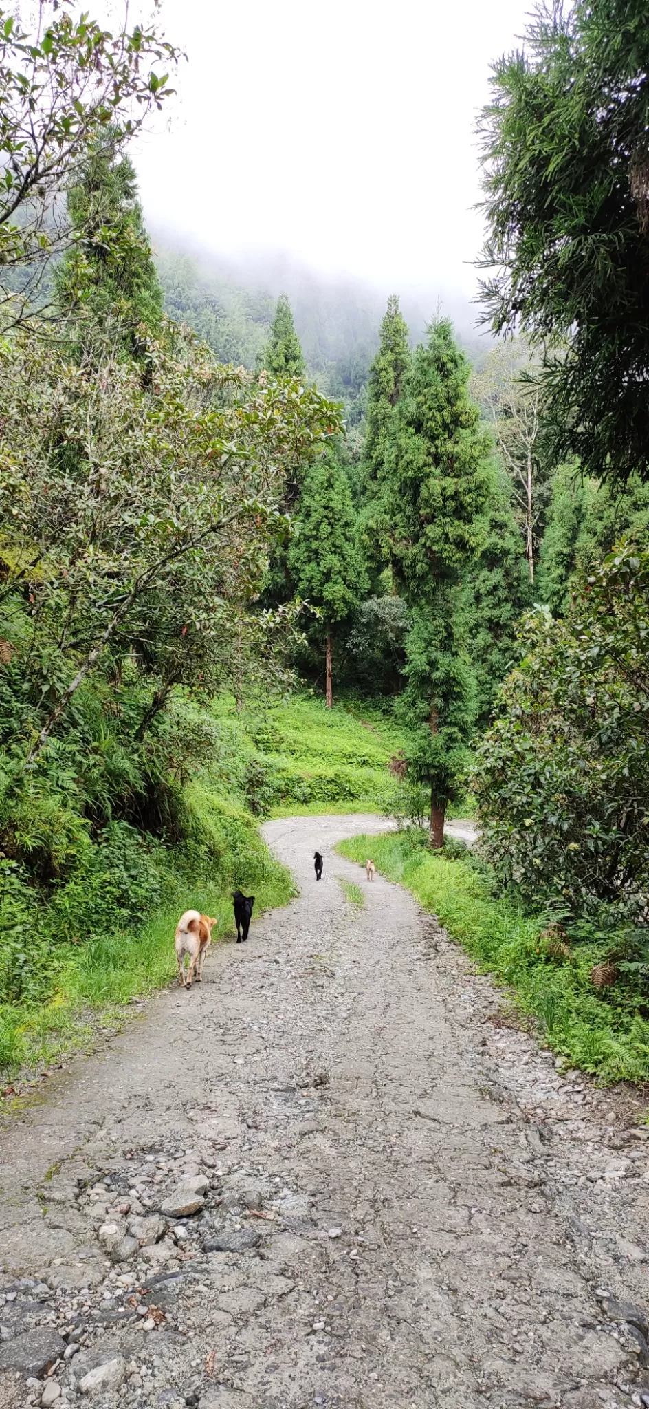 Photo of Icche Gaon By Chandrima Gain