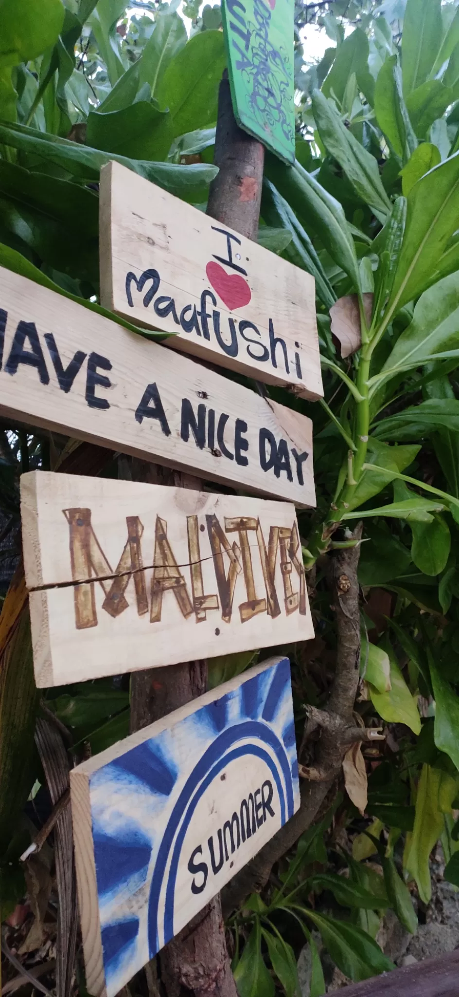 Photo of Maldives By Chandrima Gain