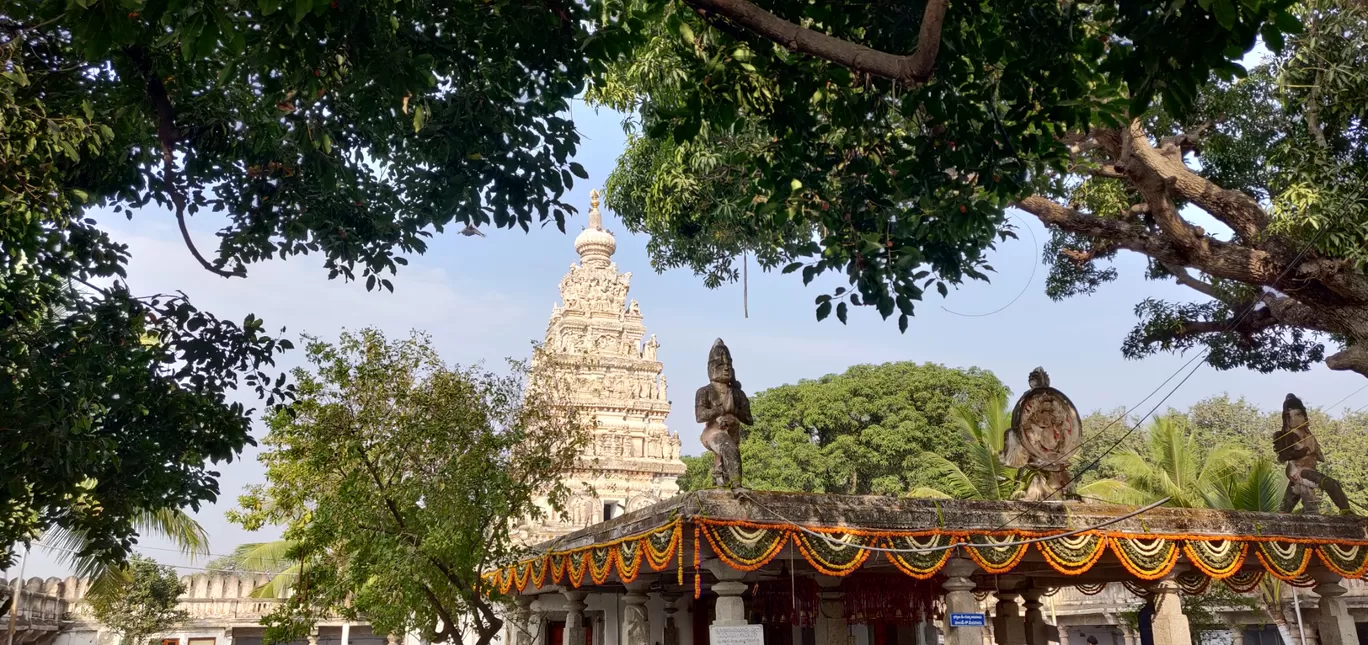 Photo of Ammapalle By Vishnu Teja E