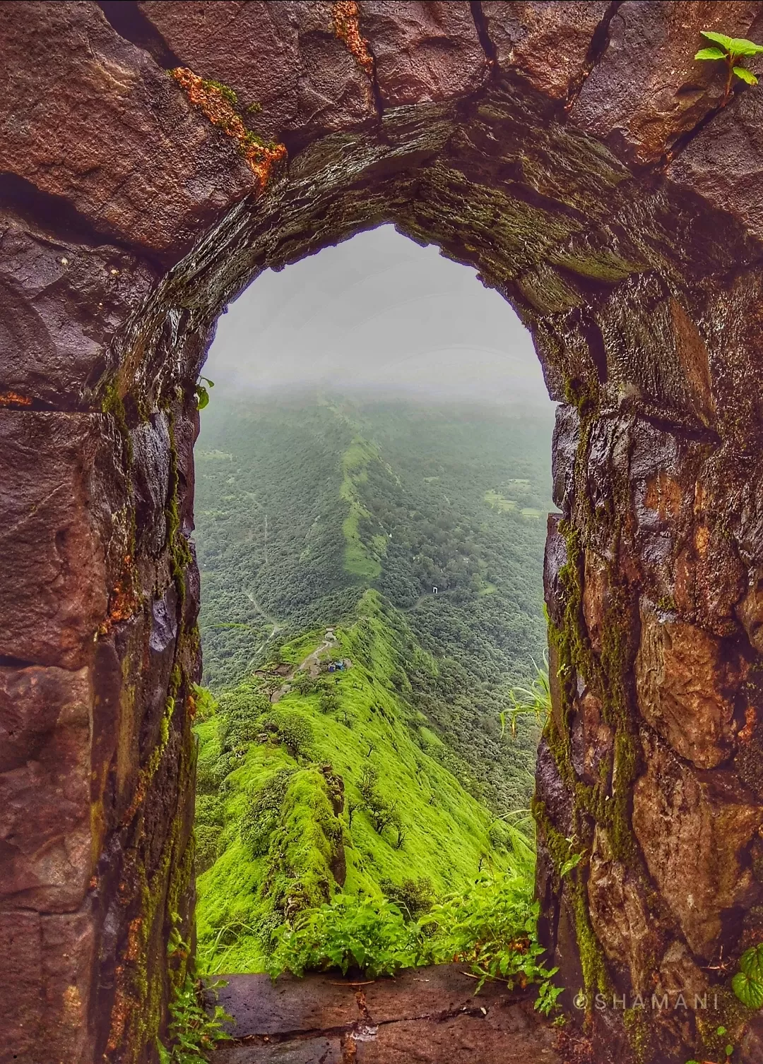 Photo of Tikona Fort By 365_Moments_Freezed