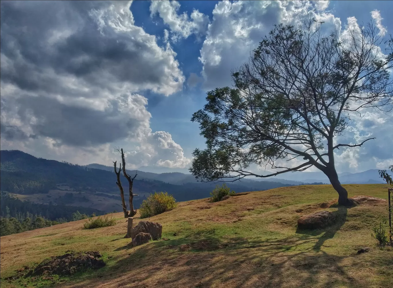 Photo of Ooty By Alpa Basu