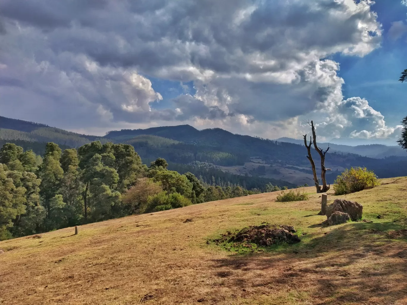Photo of Ooty By Alpa Basu