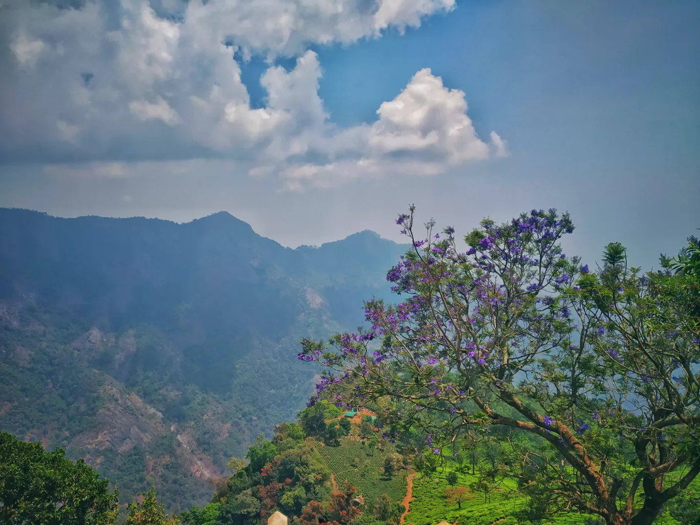 Photo of Ooty By Alpa Basu