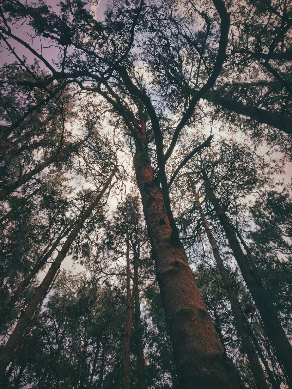 Photo of Ooty By Alpa Basu