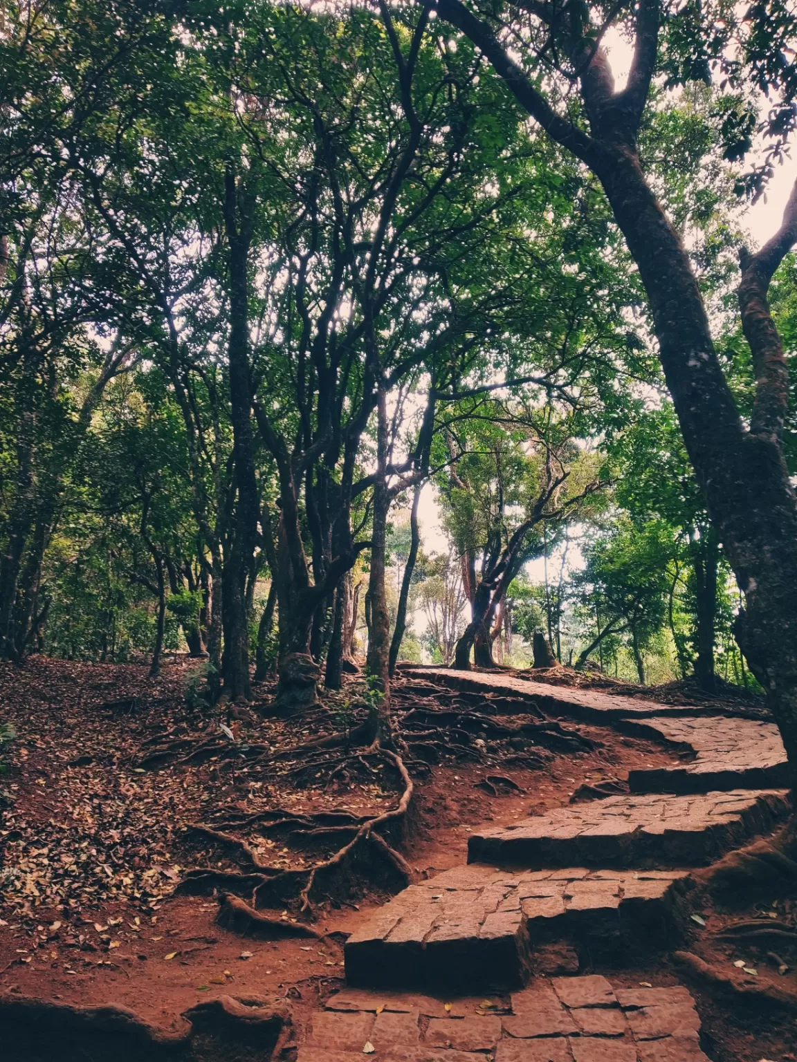 Photo of Ooty By Alpa Basu
