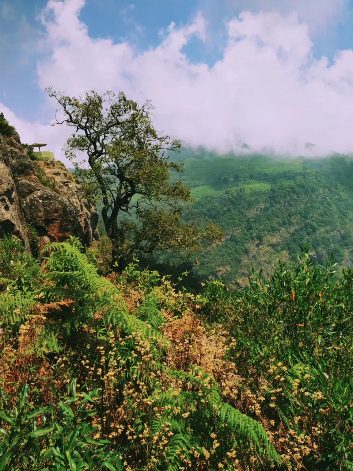 Photo of Ooty By Alpa Basu
