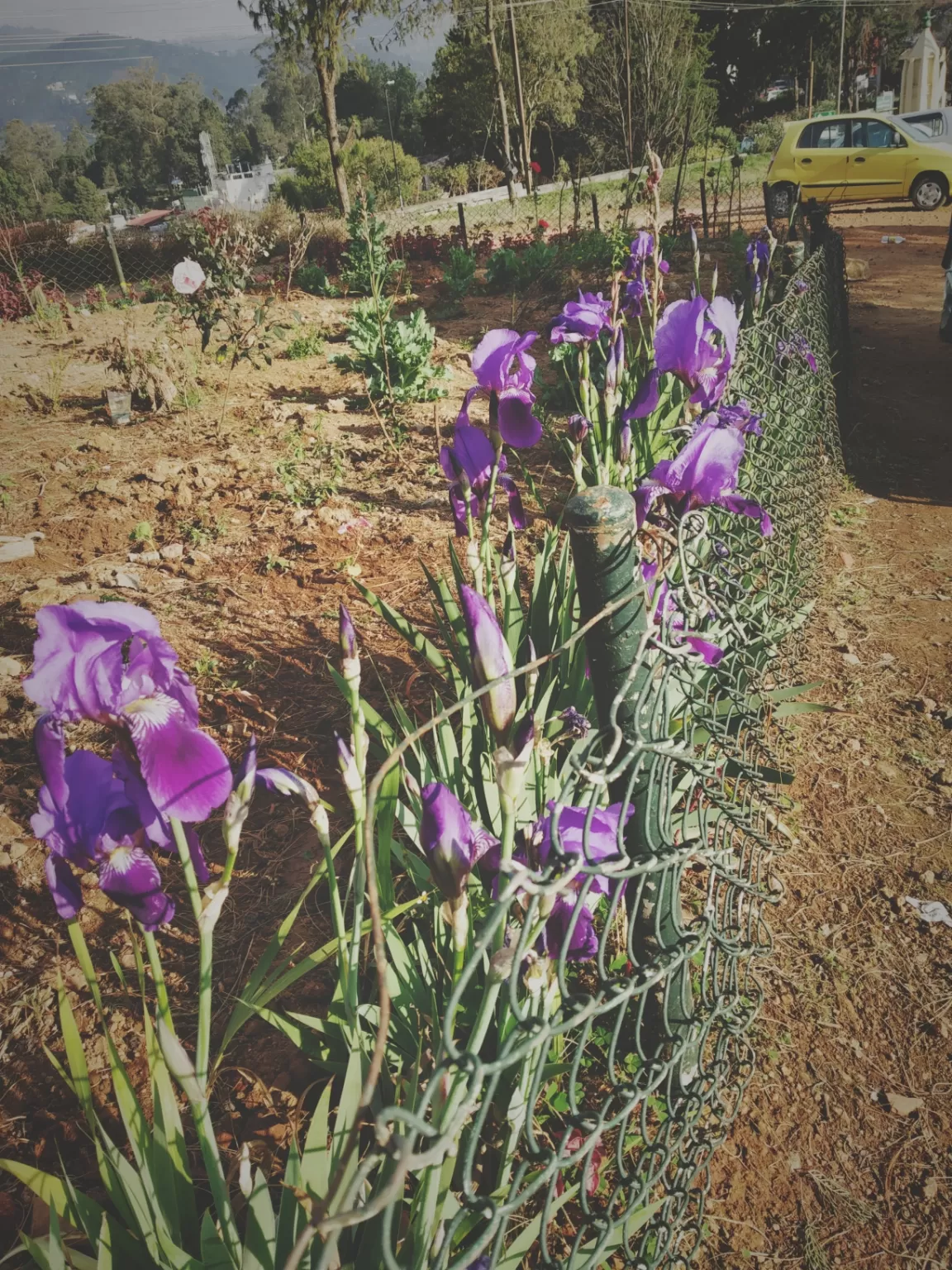 Photo of Ooty By Alpa Basu