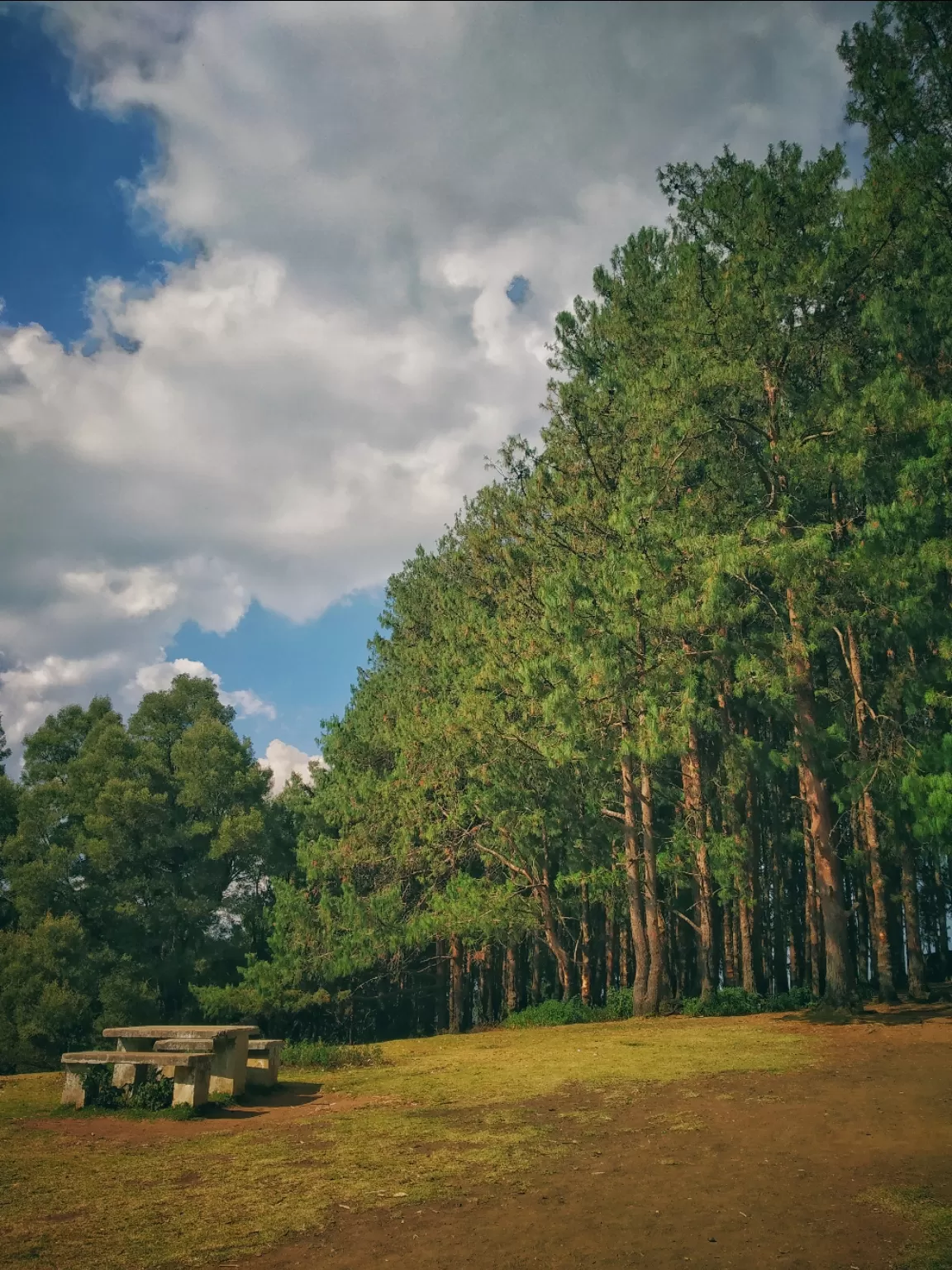Photo of Ooty By Alpa Basu