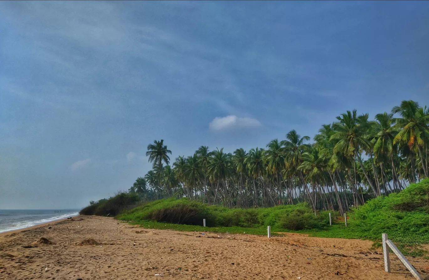 Photo of Pondicherry By Alpa Basu