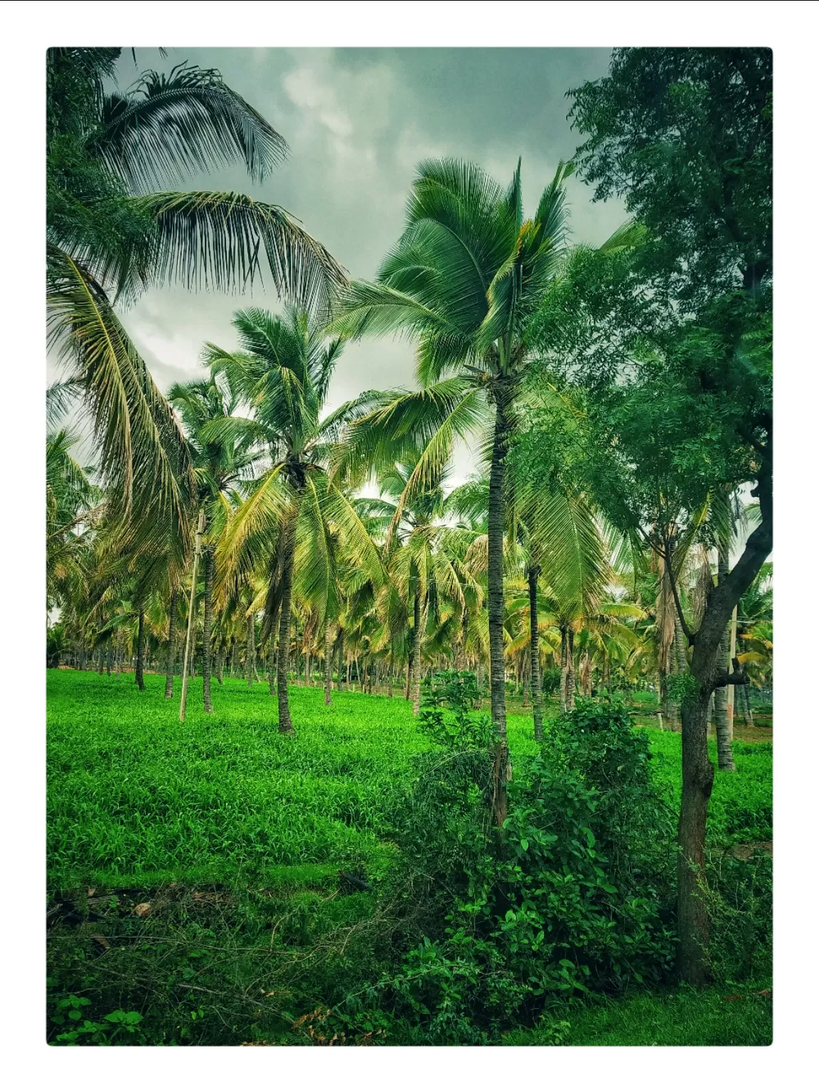 Photo of Hiriyur Road By Alpa Basu