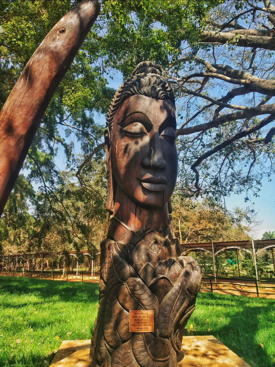 Photo of Lalbagh Botanical Garden By Alpa Basu