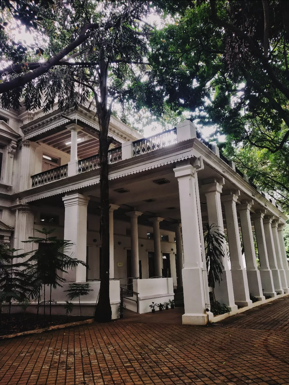 Photo of Lalbagh Botanical Garden By Alpa Basu