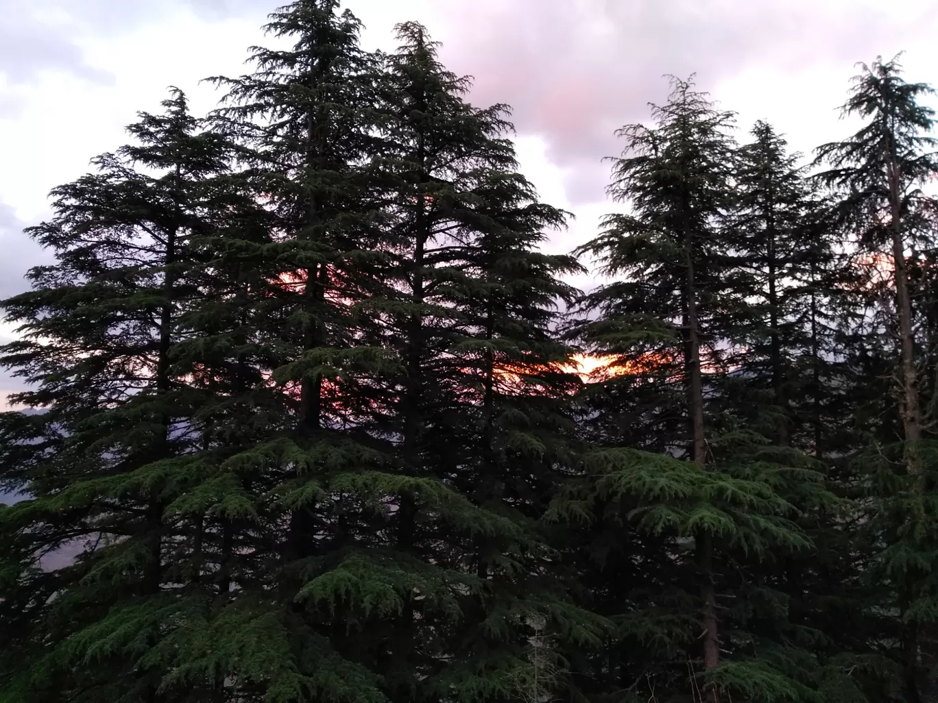 Photo of Chakrata By Prem Singh Rohilla