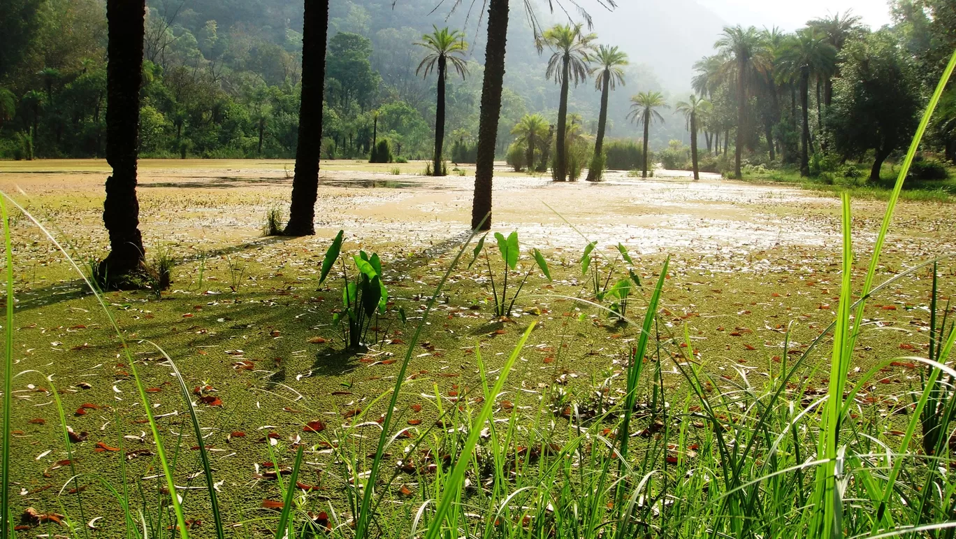 Photo of Renuka Lake By Prem Singh Rohilla