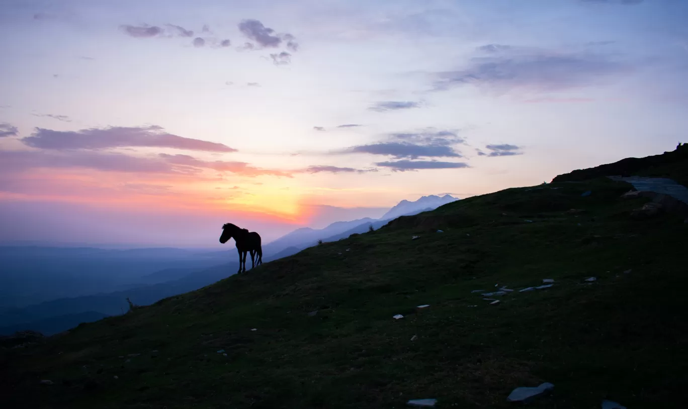 Photo of Billing Valley By The Average Nomad