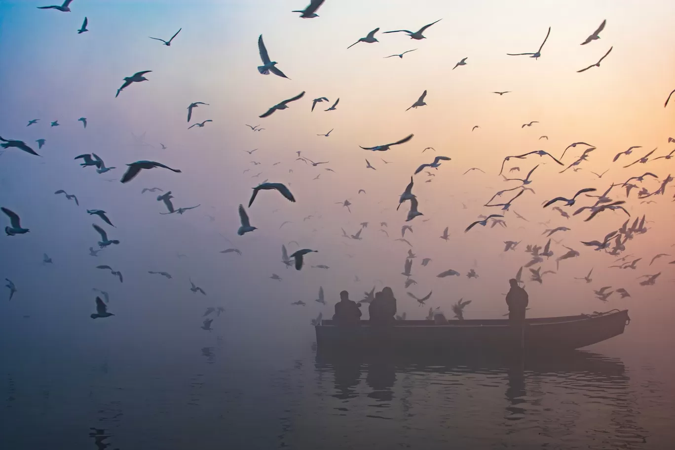 Photo of Yamuna Bazar By The Average Nomad
