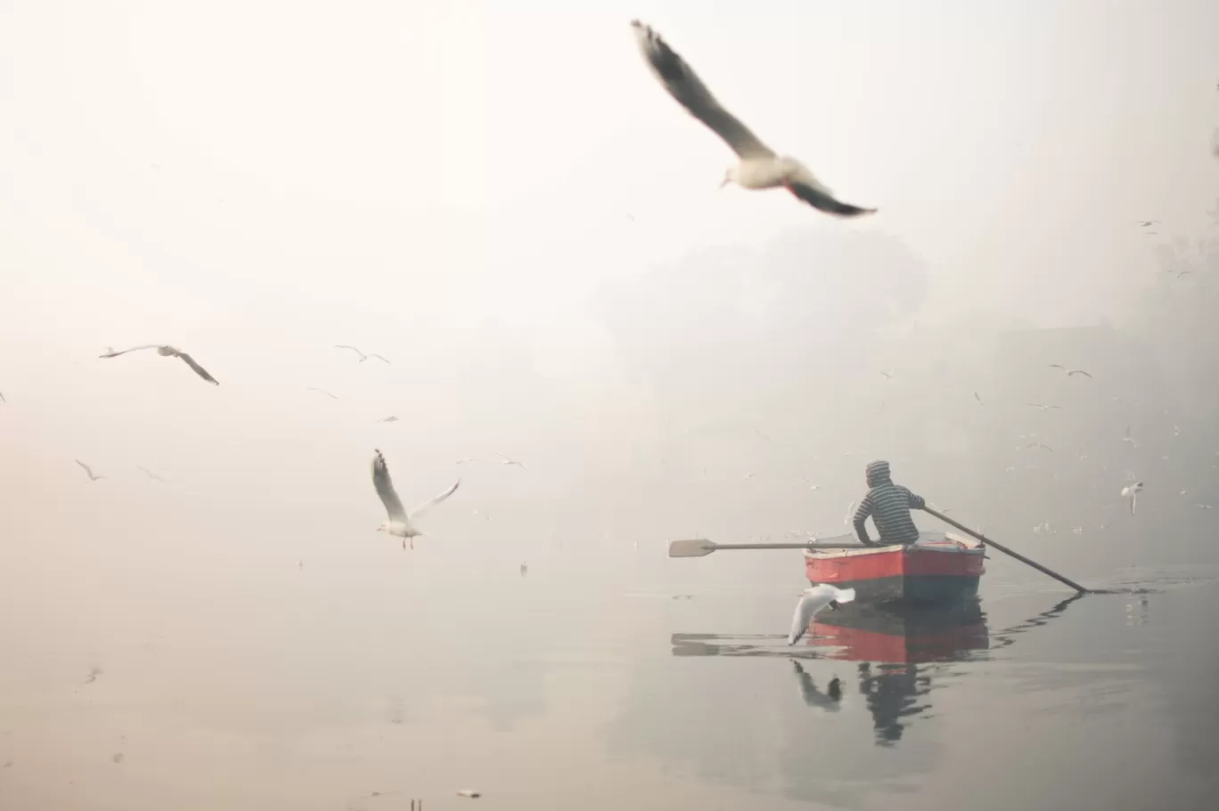 Photo of Yamuna Bazar By The Average Nomad