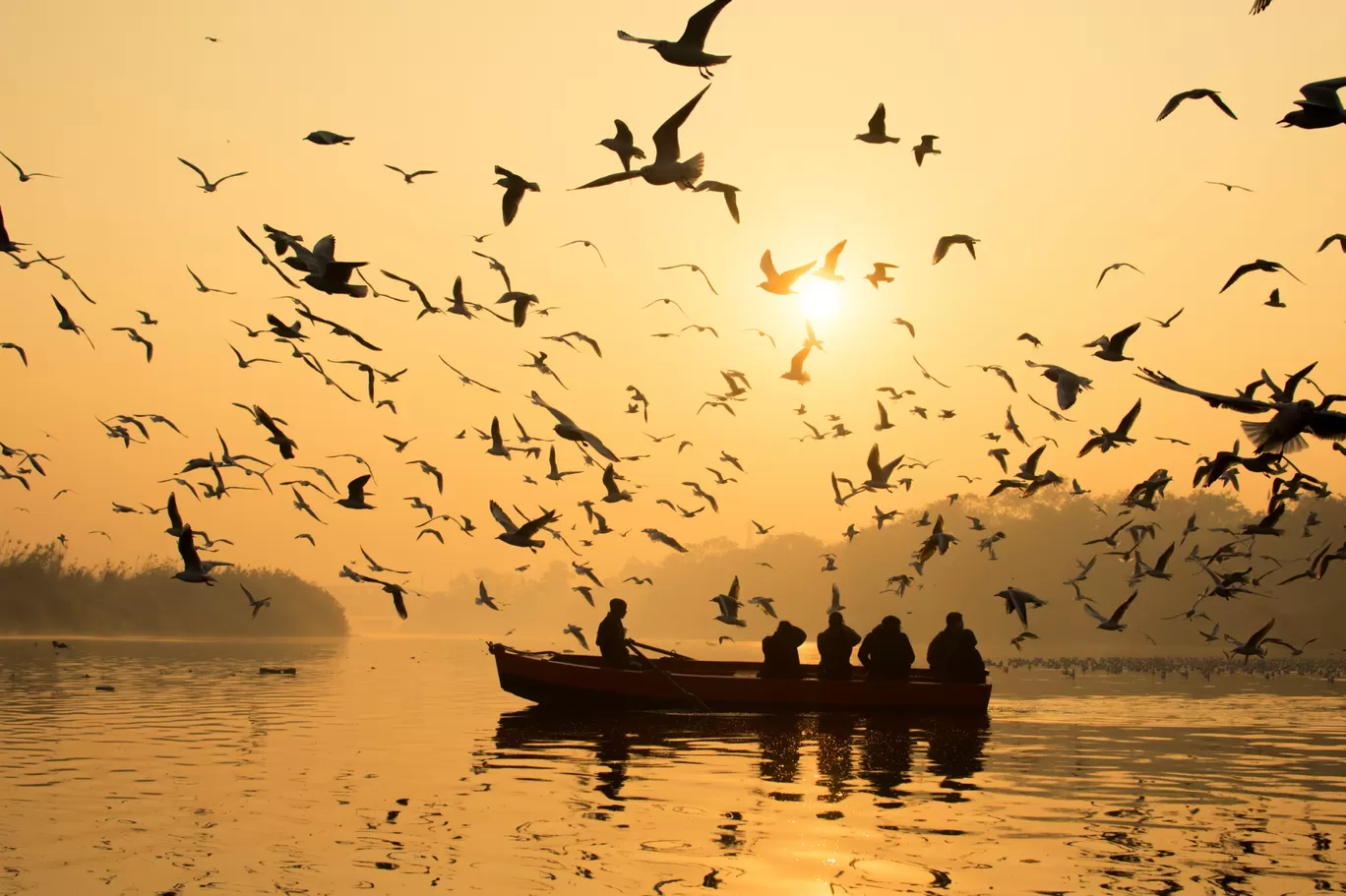 Photo of Yamuna Bazar By The Average Nomad