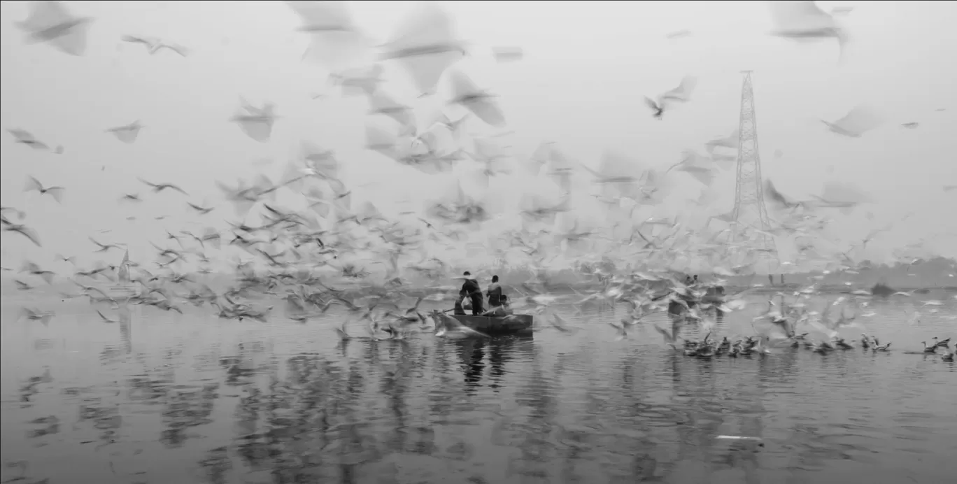 Photo of Yamuna Bazar By The Average Nomad